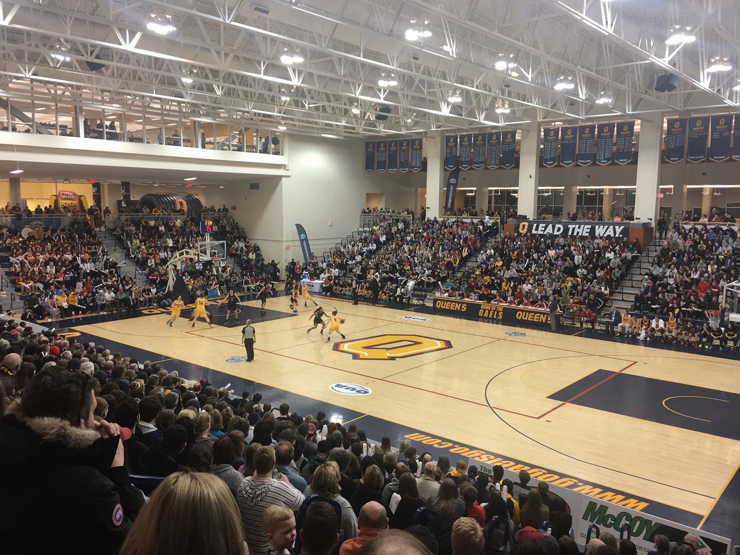 Viewing Queen's Womens Basketball Gaels Force Challenge
