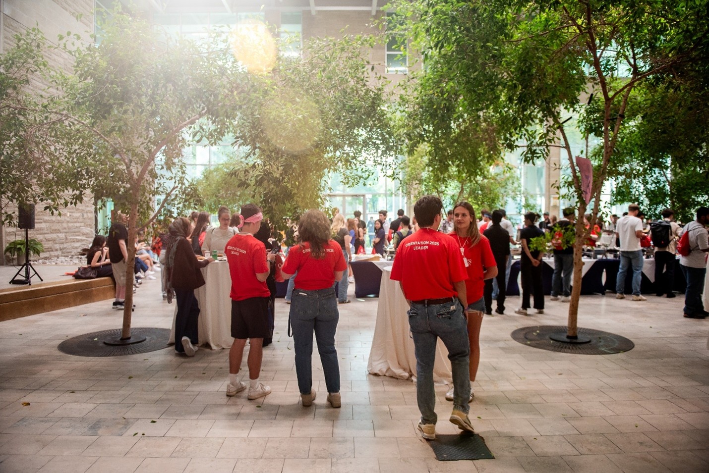 Viewing Fundraising Priorities