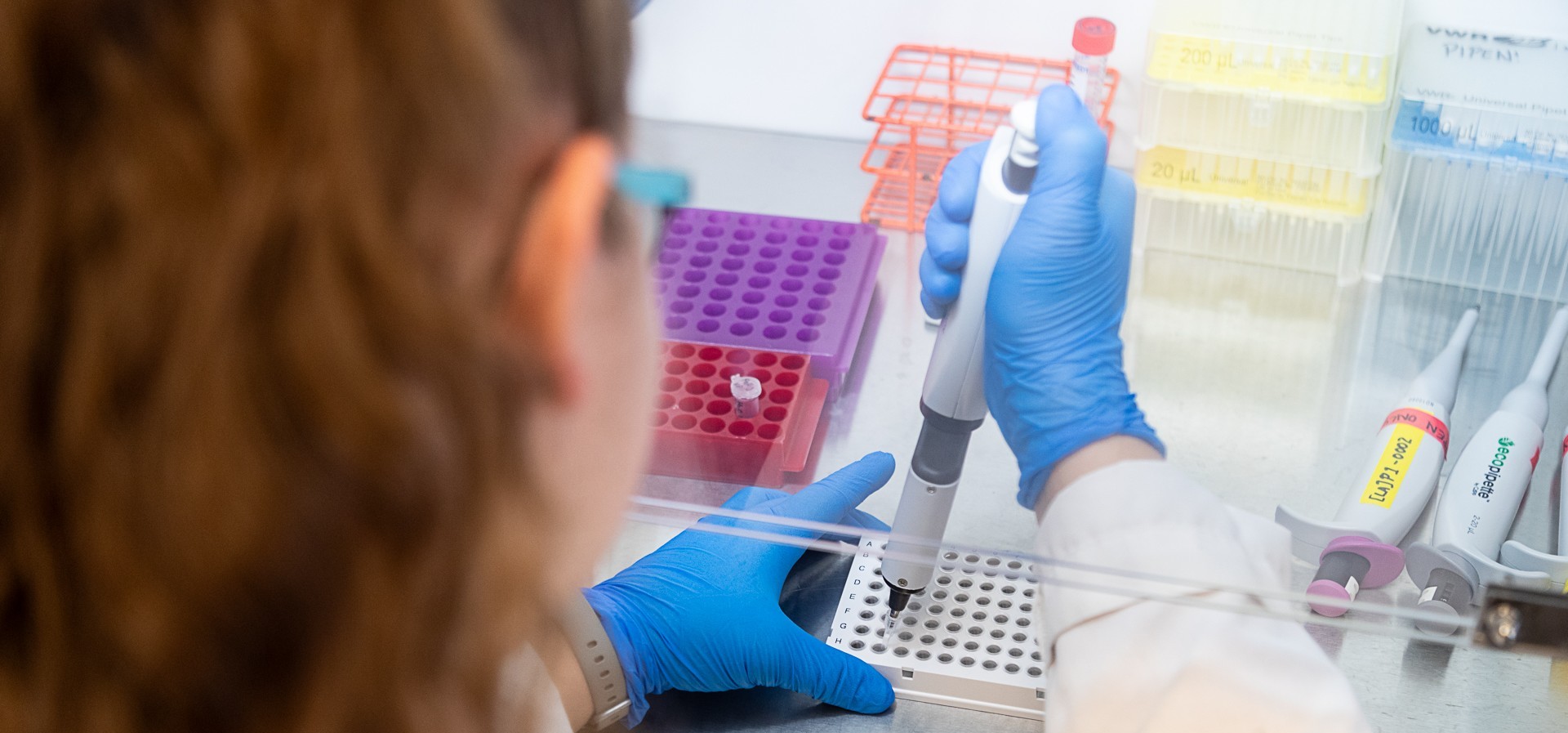 Donate to Dr. Christopher Mueller's lab