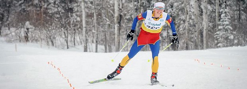Nordic Skiing image
